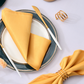 Satin Napkins 30X30CM
